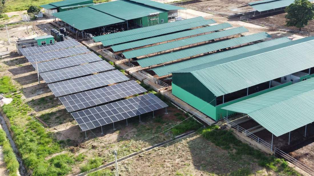 Solar panels and farm sheds at Bashe Dairy Farm, Magiri