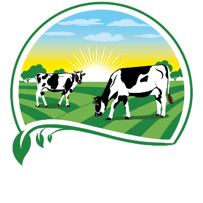 Bashe Dairy Farm Ltd